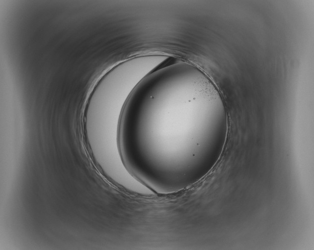 X0000113180289200909111100