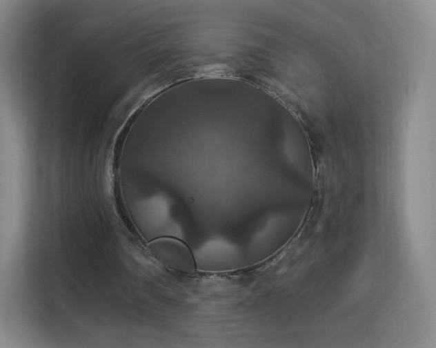 X0000113180290200909111100