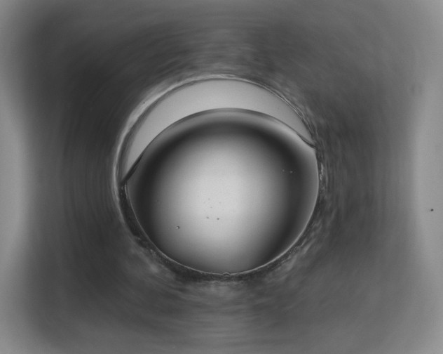 X0000113180292200909111100