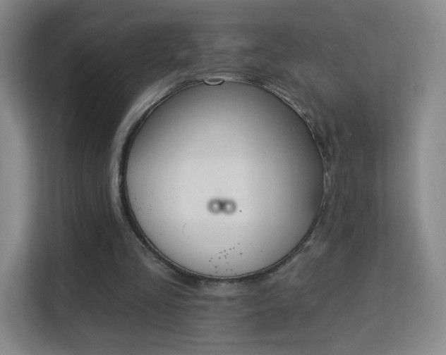 X0000113180293200909111100