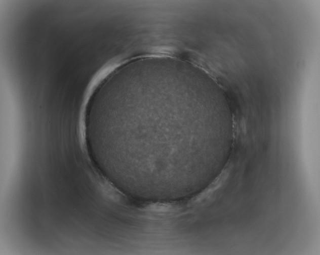 X0000113180294200909111100