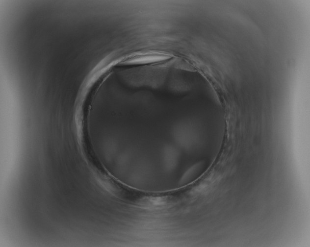 X0000113180295200909111100