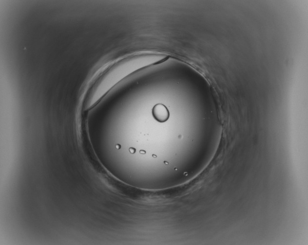 X0000113180296200909111100