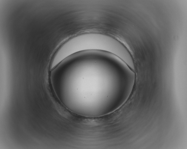 X0000113180297200909111100