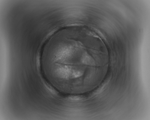 X0000113180299200909111100