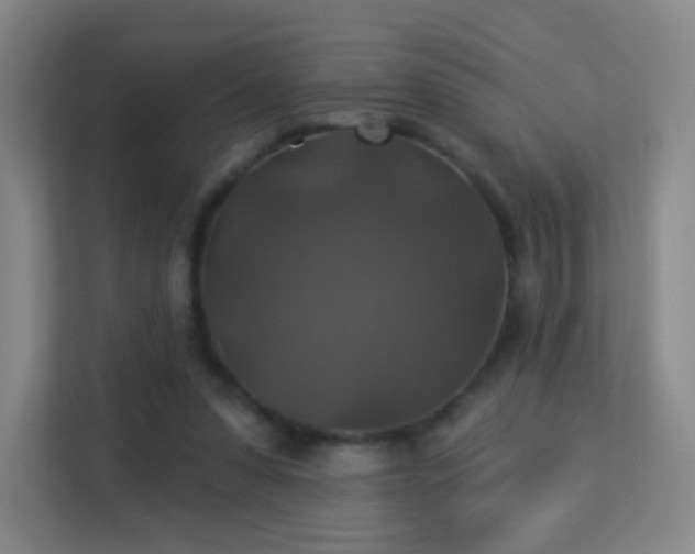 X0000113180303200909111100