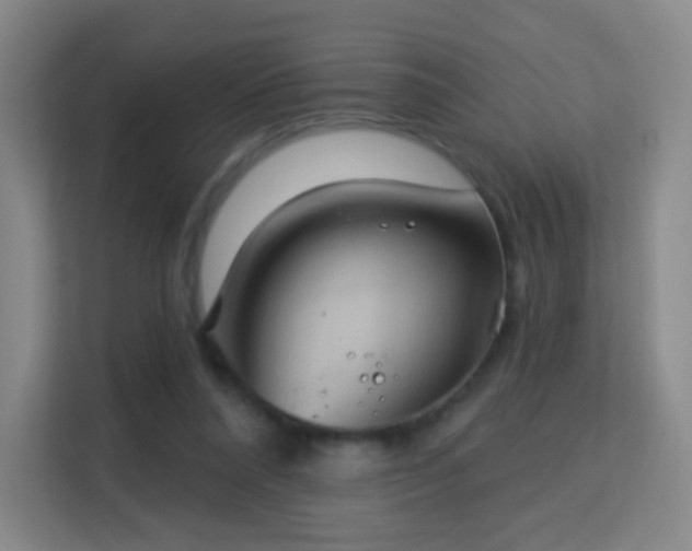 X0000113180304200909111100