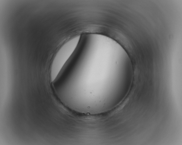 X0000113180305200909111100
