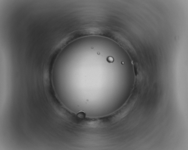 X0000113180306200909111100
