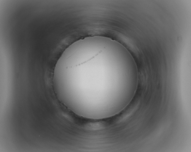 X0000113180307200909111100