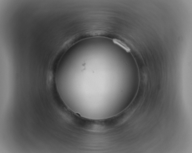 X0000113180308200909111100
