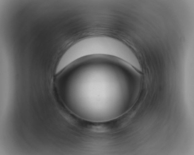 X0000113180309200909111100