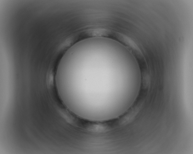 X0000113180310200909111100