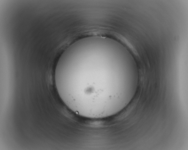 X0000113180313200909111100