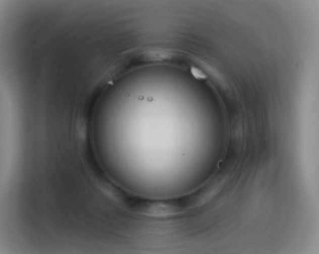 X0000113180315200909111100