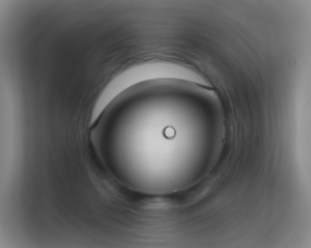 X0000113180316200909111100