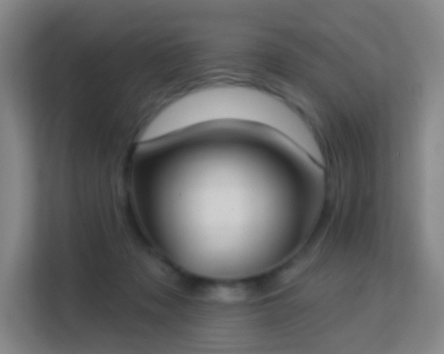 X0000113180317200909111100