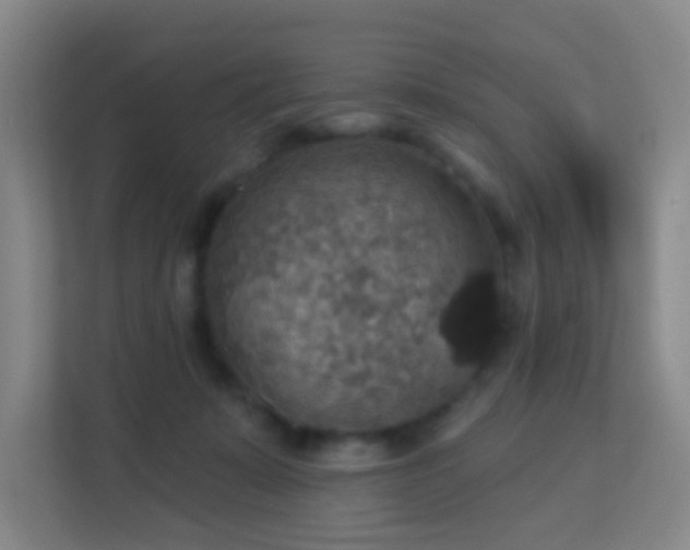 X0000113180319200909111100