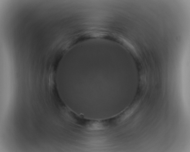 X0000113180325200909111100