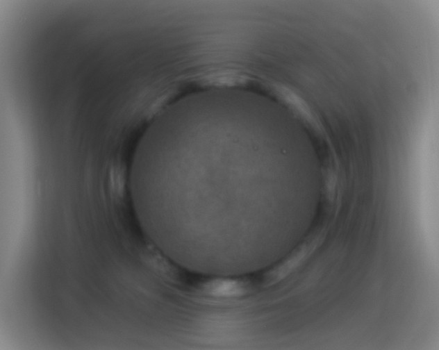 X0000113180326200909111100