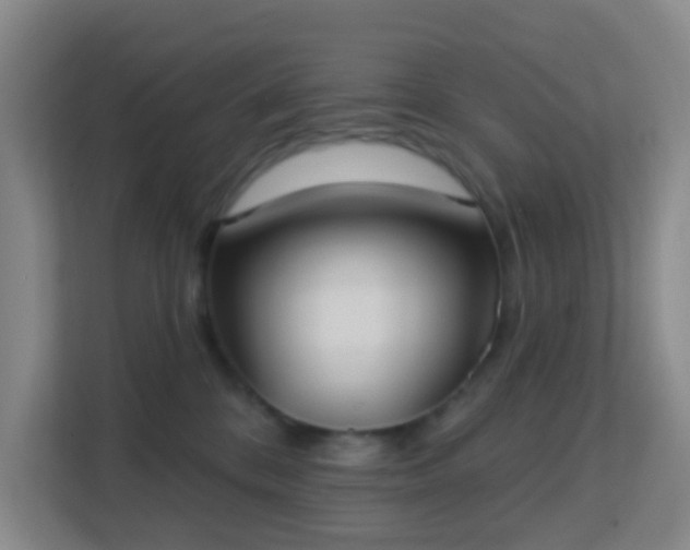 X0000113180328200909111059