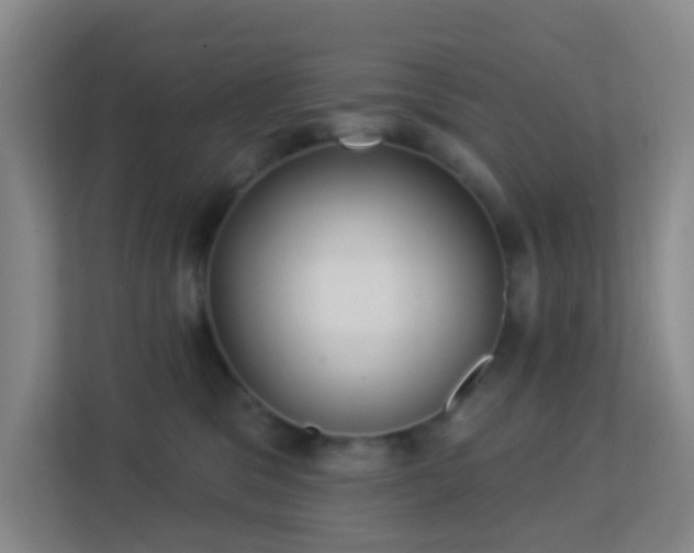 X0000113180329200909111059
