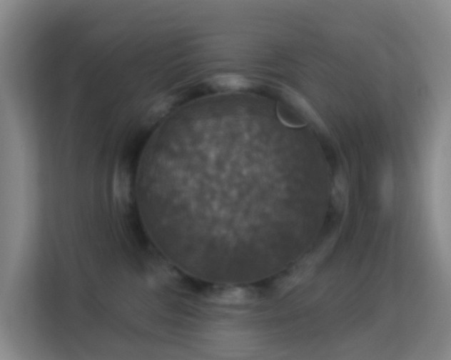 X0000113180330200909111059