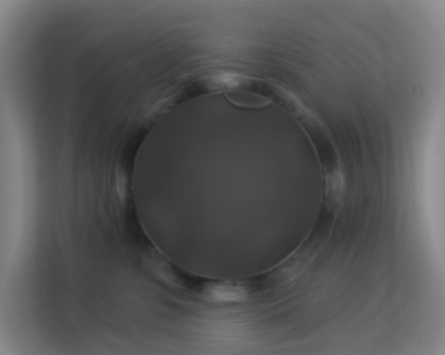 X0000113180331200909111059