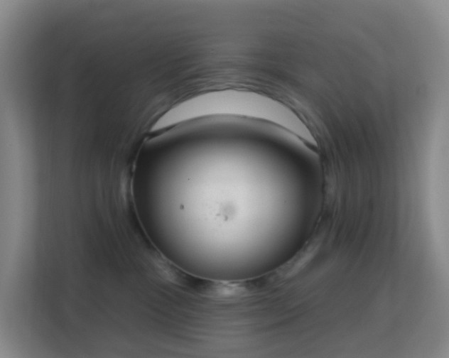 X0000113180333200909111059