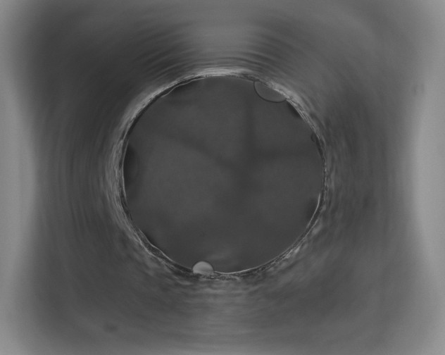 X0000113180337200909111059