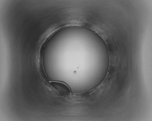 X0000113180338200909111059