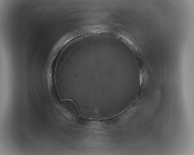 X0000113180339200909111059