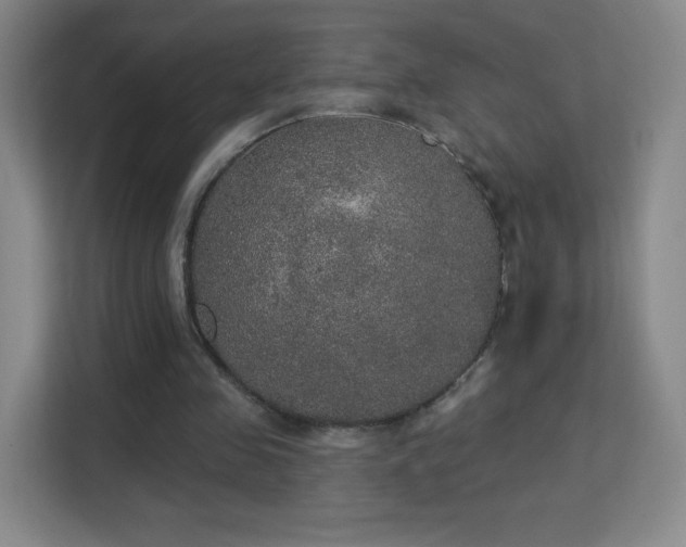 X0000113180341200909111059