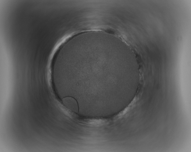 X0000113180342200909111059
