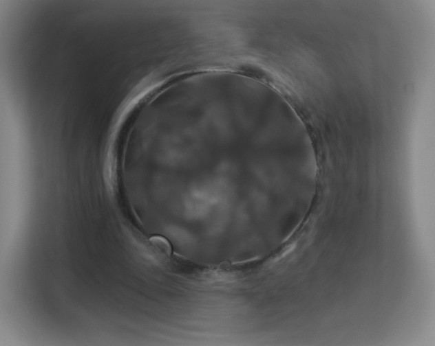 X0000113180343200909111059