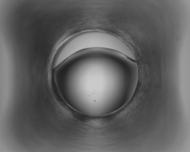X0000113180344200909111059