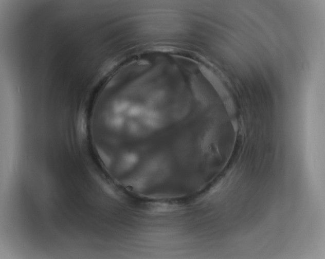 X0000113180347200909111059