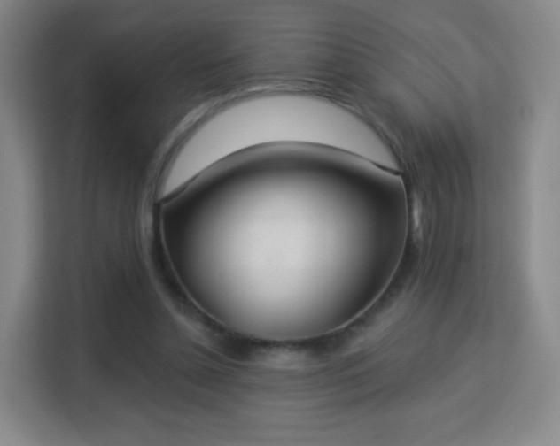 X0000113180348200909111059