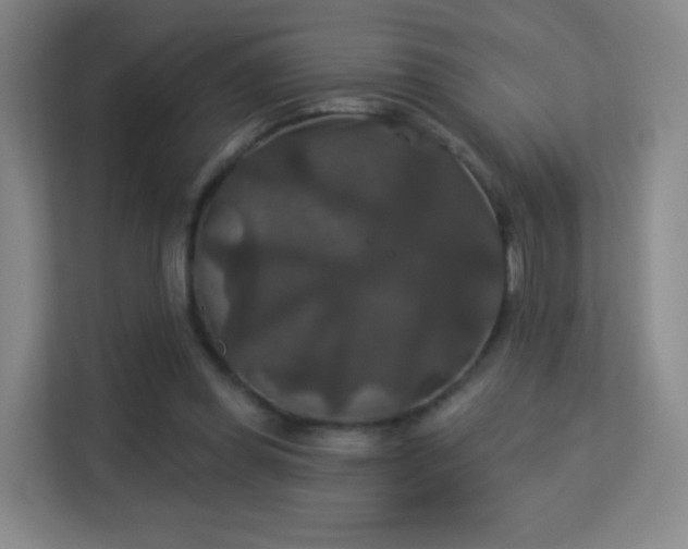 X0000113180349200909111059