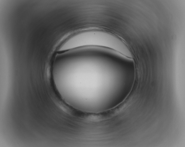 X0000113180350200909111059