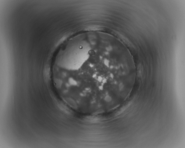 X0000113180351200909111059