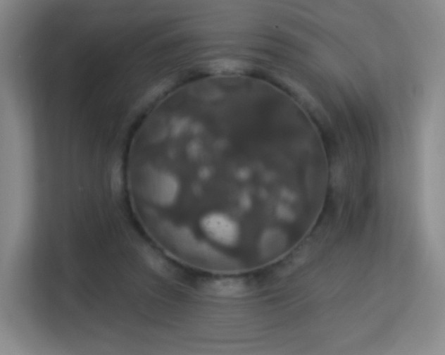 X0000113180353200909111059