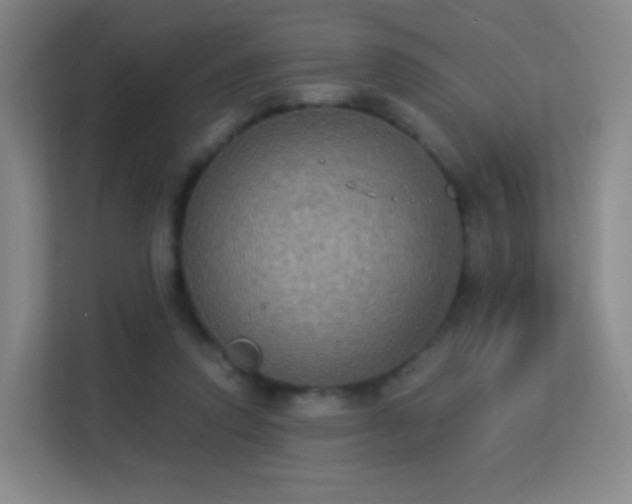 X0000113180354200909111059