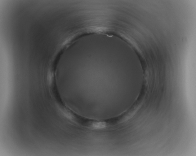 X0000113180355200909111059