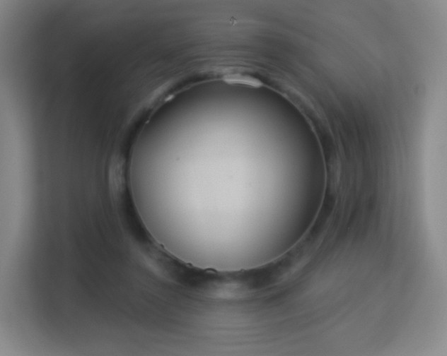 X0000113180356200909111059