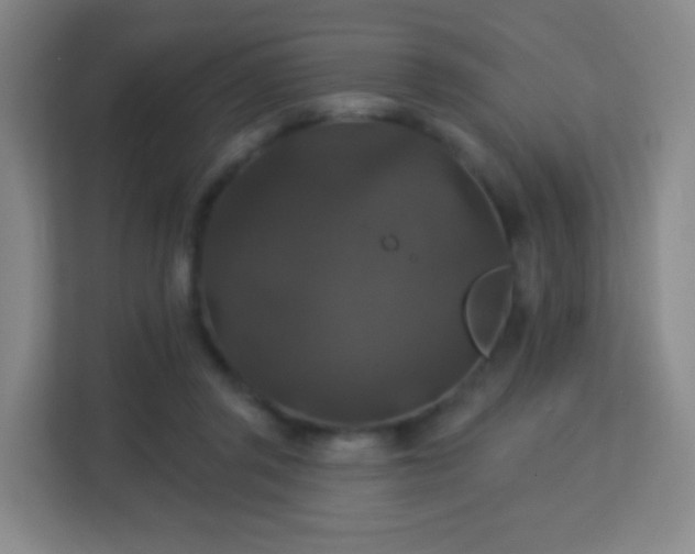 X0000113180357200909111059
