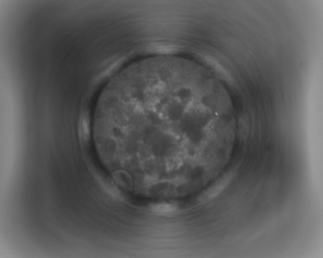 X0000113180358200909111059