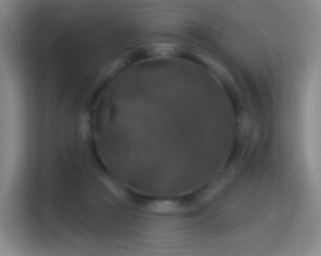 X0000113180361200909111059