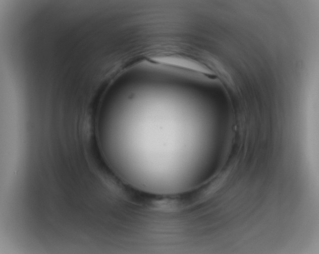 X0000113180362200909111059