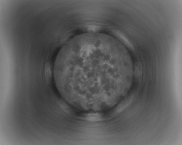 X0000113180363200909111059